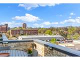 204 Maple St - Photo 15