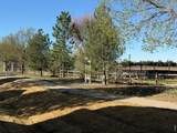 5775 29th St - Photo 31