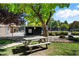 2938 Kalmia Ave - Photo 42