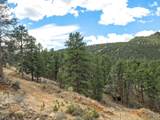 825 Castle Mountain Rd - Photo 10