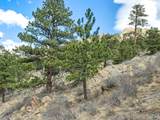 825 Castle Mountain Rd - Photo 12