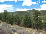 825 Castle Mountain Rd - Photo 8