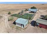 42667 County Road 51 - Photo 33
