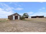 42667 County Road 51 - Photo 41