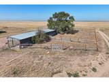 42667 County Road 51 - Photo 42