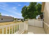 3302 Borrossa St - Photo 33