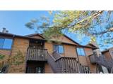 6239 Willow Ln - Photo 2