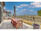 1647 Stoll Dr - Photo 29