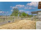 1647 Stoll Dr - Photo 31