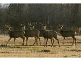 4690 County Road 5 - Photo 15