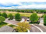 557 Trailwood Cir - Photo 32