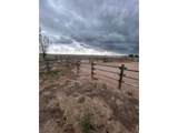 8969 Highway 52 - Photo 40