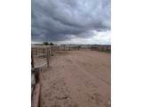 8969 Highway 52 - Photo 43