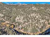 47 Berthoud Dale Ln - Photo 31