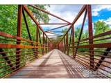 927 Nettle Ln - Photo 22