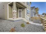 927 Nettle Ln - Photo 5