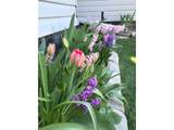 9916 County Road 48 1/2 - Photo 48