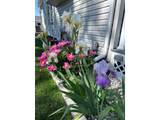 9916 County Road 48 1/2 - Photo 49