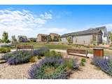 2431 Cottongrass Ave - Photo 37