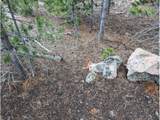 90 Quapaw Ct - Photo 15