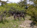 5009 Gary Dr - Photo 49