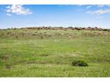 4753 Wild Horizon Dr - Photo 16