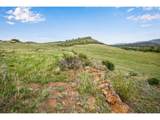 4753 Wild Horizon Dr - Photo 5