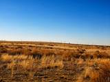  County Road 80 - Photo 4