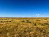  County Road 80 - Photo 6