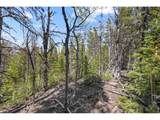 1199 Brainard Lake Rd - Photo 11