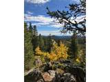 1199 Brainard Lake Rd - Photo 19
