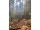 1199 Brainard Lake Rd - Photo 20