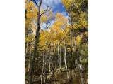 1199 Brainard Lake Rd - Photo 21