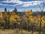 1199 Brainard Lake Rd - Photo 23
