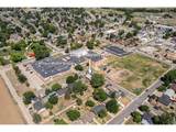 300 Harriet Ave - Photo 3
