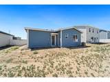 3820 Soapstone St - Photo 11