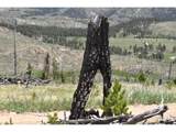 1989 Spencer Mountain Rd - Photo 25