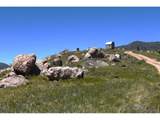 1989 Spencer Mountain Rd - Photo 3