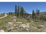 1989 Spencer Mountain Rd - Photo 4