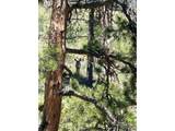 1989 Spencer Mountain Rd - Photo 41