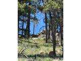 1989 Spencer Mountain Rd - Photo 42