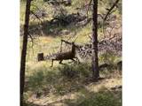 1989 Spencer Mountain Rd - Photo 43