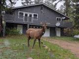 163 West Creek Rd - Photo 1