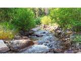 163 West Creek Rd - Photo 30