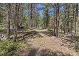 0 Magnolia Dr - Photo 10