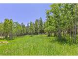 0 Magnolia Dr - Photo 11