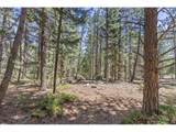 0 Magnolia Dr - Photo 17