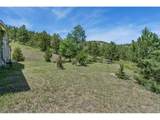 12592 Rist Canyon Rd - Photo 41