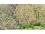 10828 Bears Lair Rd - Photo 48