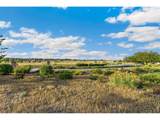 5714 Bluff Ln - Photo 6